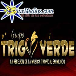 Contrataciones Trigo verde